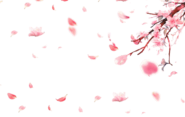 暗恋桃花源9店通用