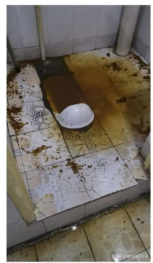 学校里男厕女厕哪个更臭? - 知乎