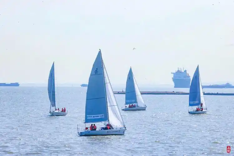 上海邮轮港国际帆船赛开赛