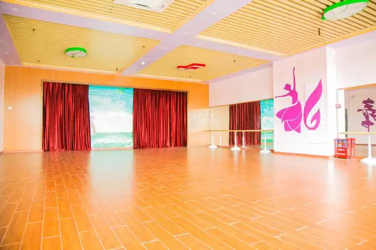 七彩国学幼儿园舞蹈班开课啦!