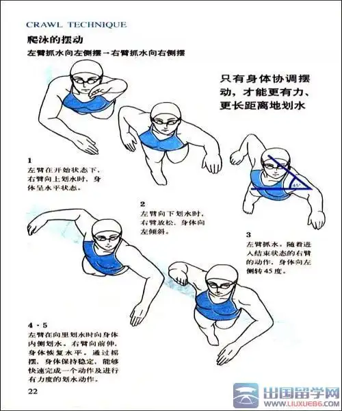 游泳技巧之自由泳【图解】