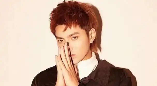 33岁吴亦凡二审维持原判有期徒刑13年更多案件细节被公开