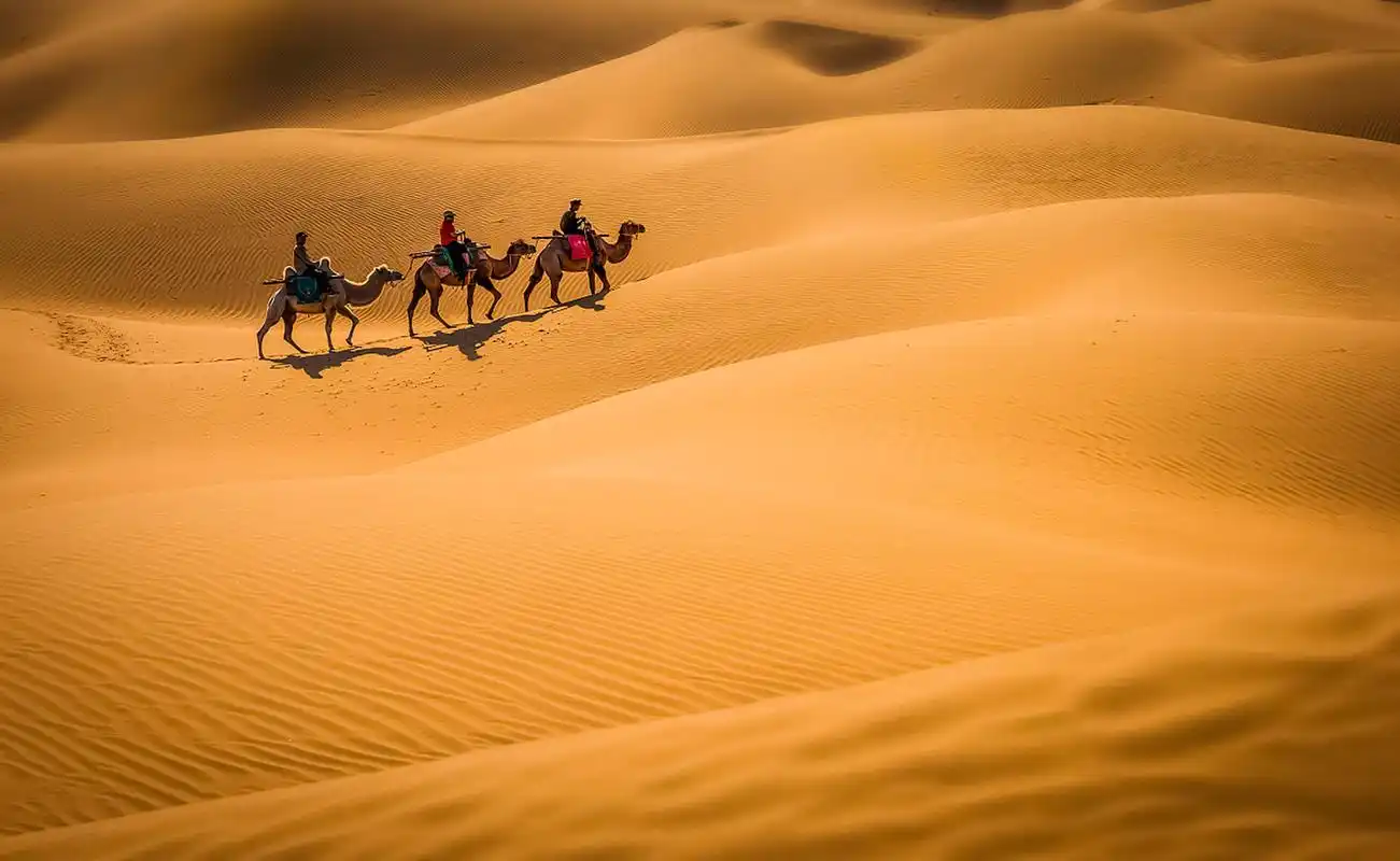 96【这里是腾格里沙漠9815】#国内文旅#  ·位于内蒙古自治区