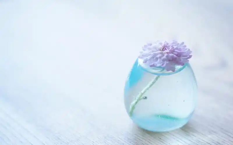 简约可爱的小清新花卉图片桌面壁纸