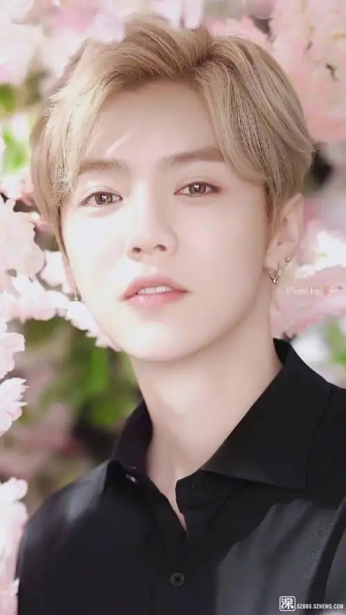 明星鹿晗的帅照