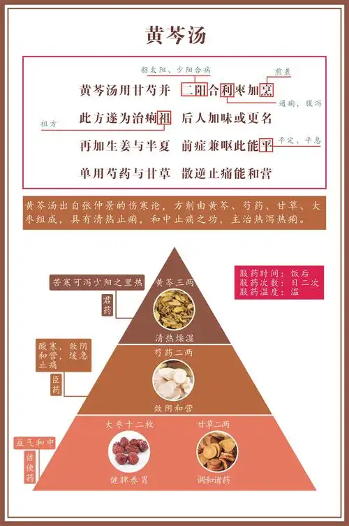 清肠止痢—黄芩汤