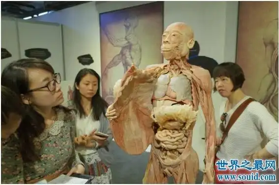 人体标本的制作方式在最早期是通过福尔马林(化学用品)浸泡之后,使