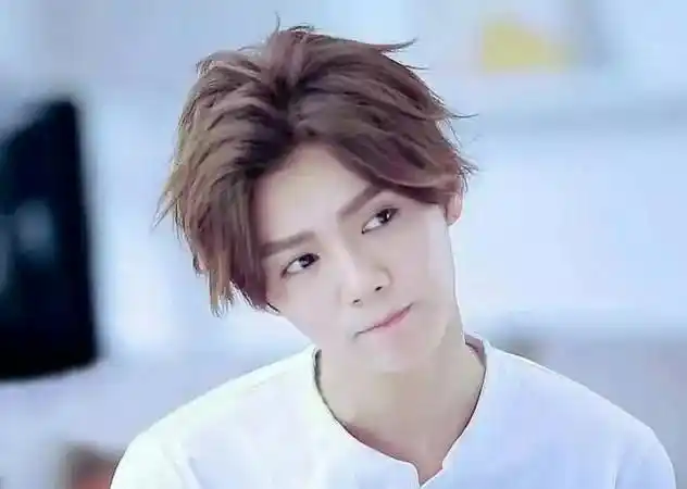 鹿晗资料 鹿晗中国内地男演员,歌手(图8)