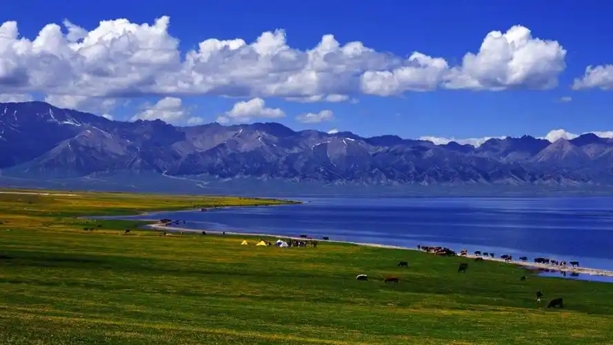 美丽的草原我们的家第三站8月18日在青海金银滩草原诗意呈现