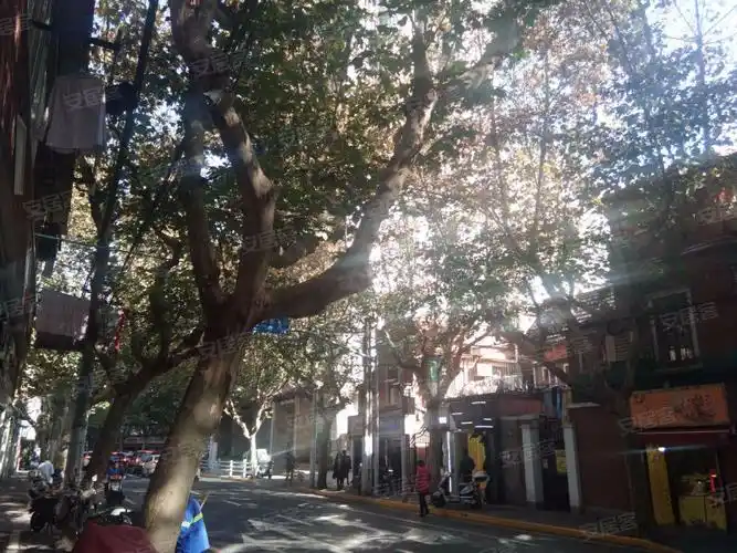 康定路841号小区,康定路841号-上海康定路841号小区二手房,租房,房价