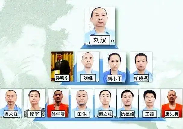 2015年,刘汉被判死刑后,在法庭跟妻儿痛哭,场面一度混乱
