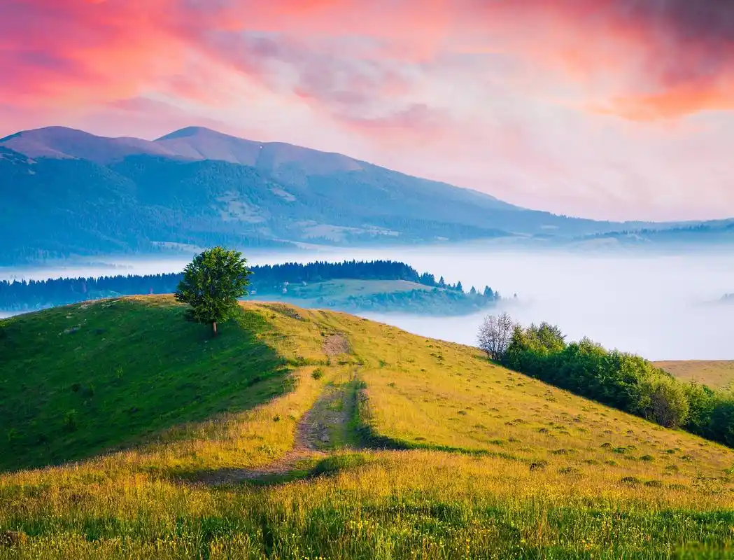 当大自然的调色板在秋季打开时,整个世界都被五彩斑斓的景色所包围.