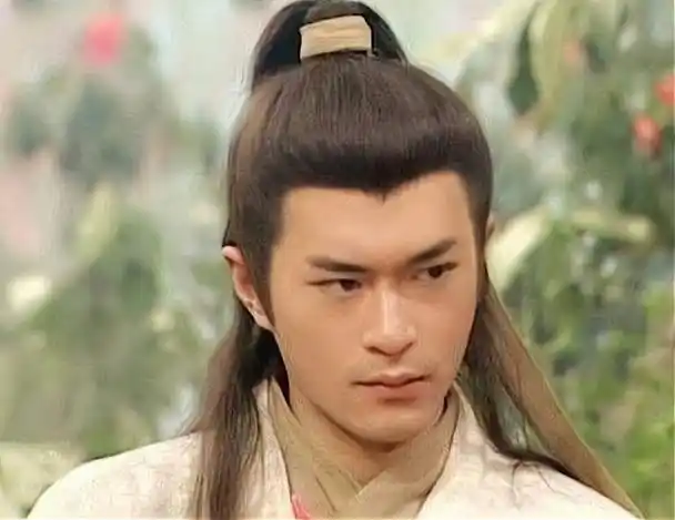 金庸书中有一高手,武功修为超越张三丰,留下一个成语传承至今_杨过