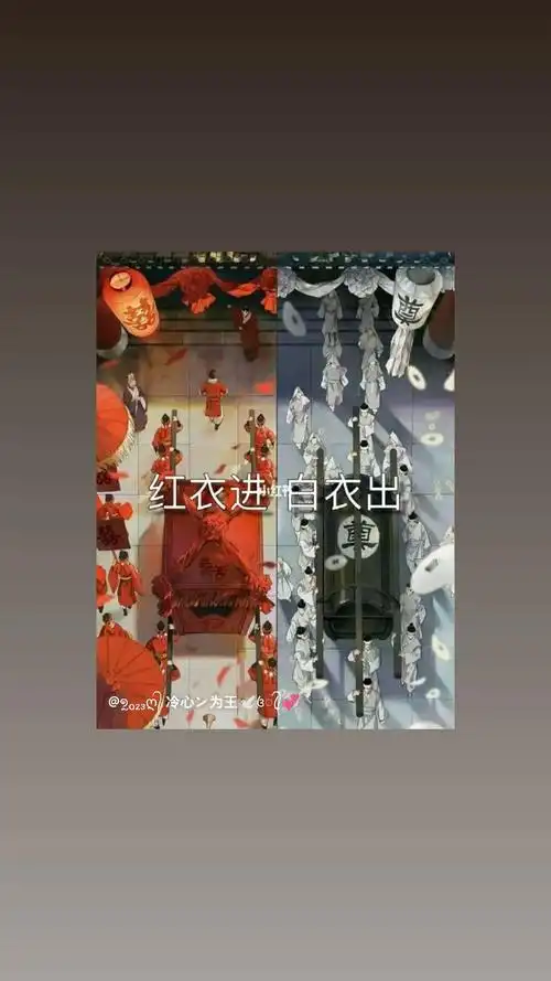 红衣进白衣出 奠 @ 023 冷心 为王|菊 红衣进白衣出  - 抖音