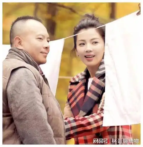 王珂|刘涛|大s|王烁|李钰|汪小菲_网易订阅