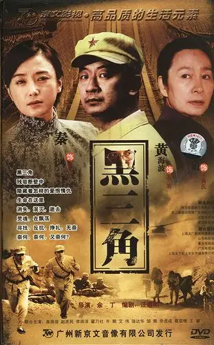 黑三角(10dvd)