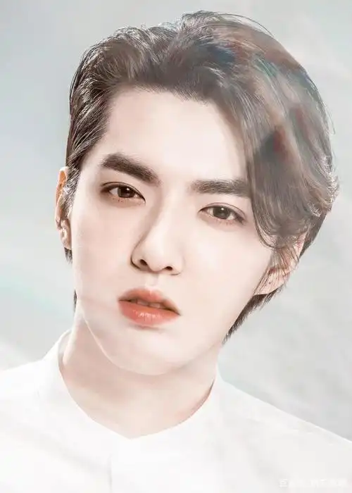 只是又发现了更好看的吴亦凡