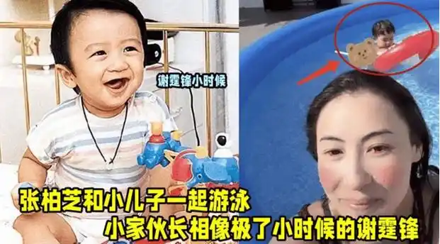 38岁张柏芝被曝在医院产第三胎,谢霆锋3字回应,谢贤13字回应!