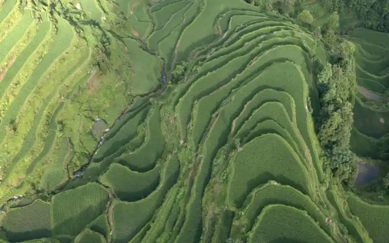 一曲古琴神人畅领略古人的至高境界
