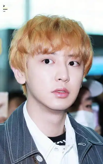 朴灿烈 pcy chanyeol 金发小王子