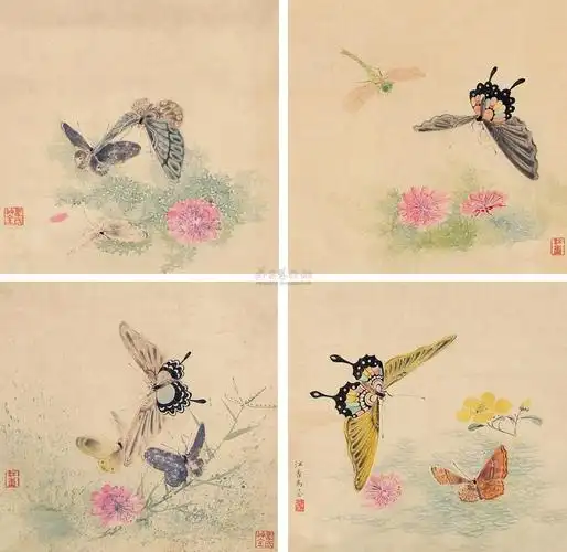 1012 蝴蝶 册页 纸本