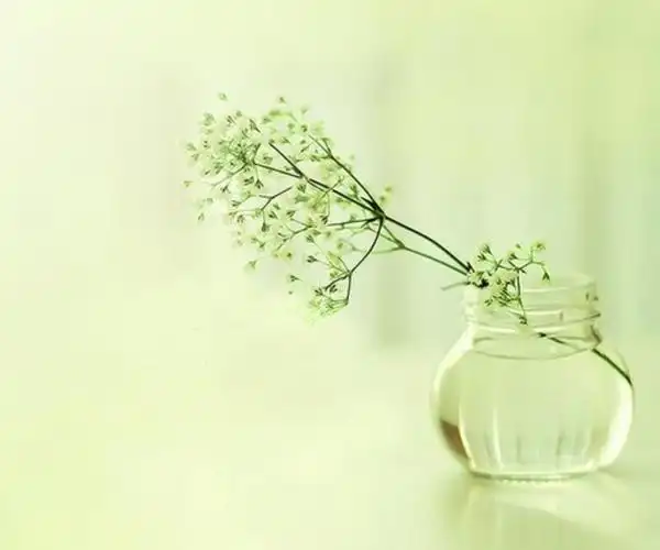 大气儒雅淡雅的图片,恬静淡雅的风景图片