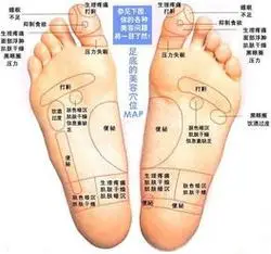 1)脚趾部分——鼻腔,眼睛和耳部 2)前脚掌靠近大拇指的部分——甲状腺