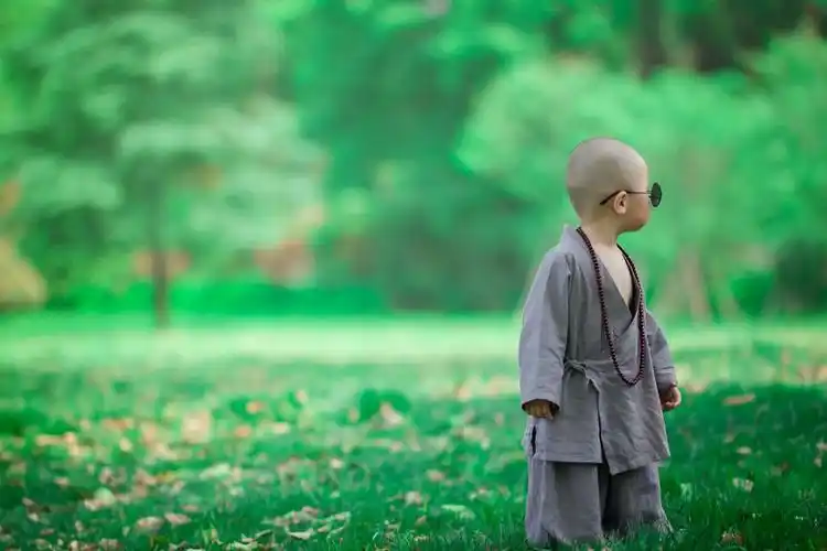 小和尚的世界 好好