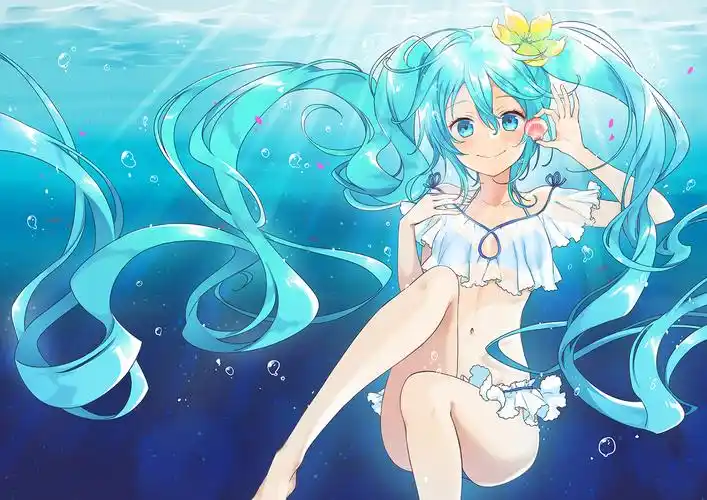 求初音未来泳装