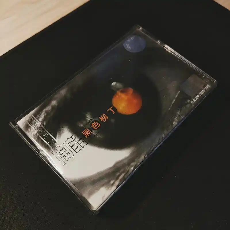 专辑写真《黑色柳丁》黑带版本 - 抖音