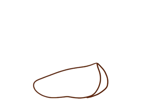 一个切开的苹果简笔画