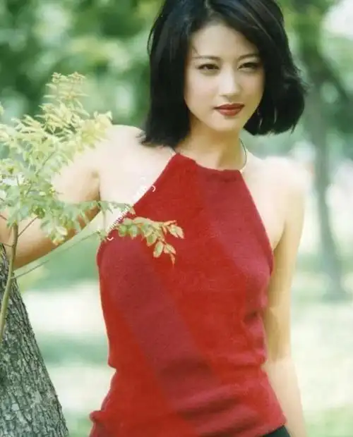 周海媚是香港著名的女演员和歌手,出生于1966年12月6日,满族人