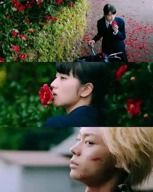 小松菜奈与菅田将晖,才是纯爱电影走进现实吧_nana_苏打_剧照