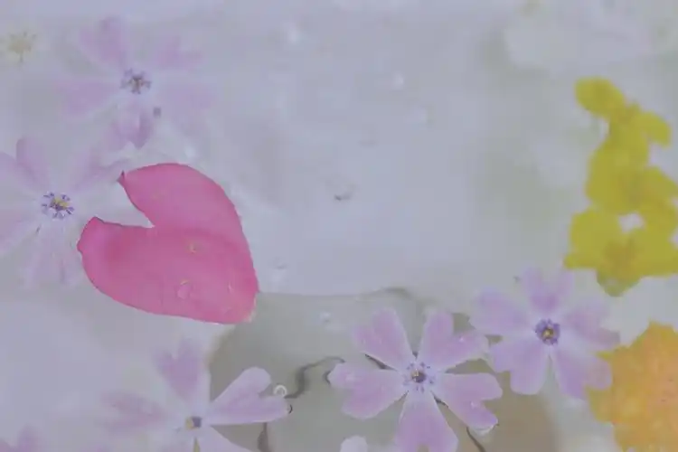 壁纸 桌面壁纸 聊天背景 锁屏壁纸 ins 油画 iphone 【禁商用】