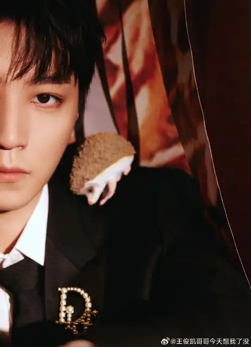 王俊凯亮相金爵奖颁奖典礼