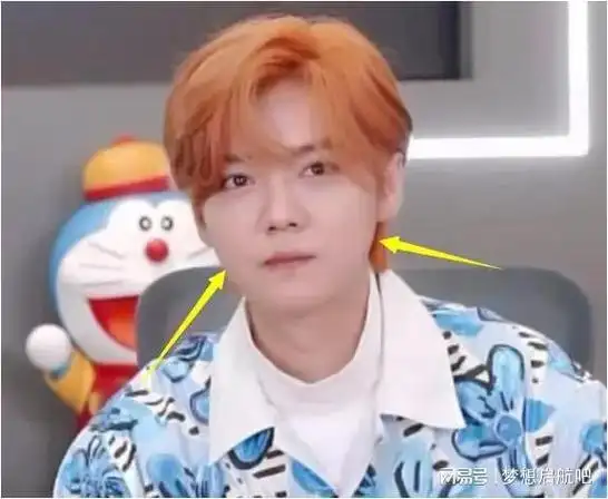 去年鹿晗在综艺里露面的时候,脸颊上还是肉肉的样子,状态也不错,当时