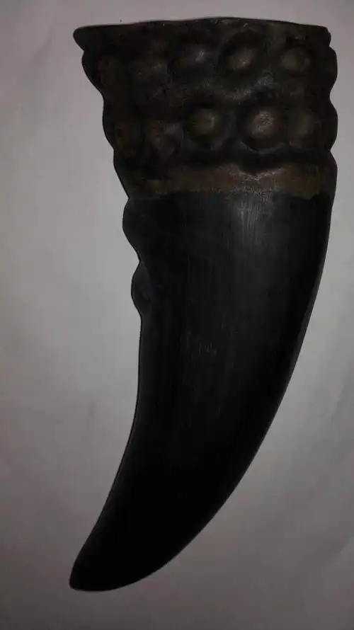 下面的图片哪些是犀牛角你判定的原因是什么