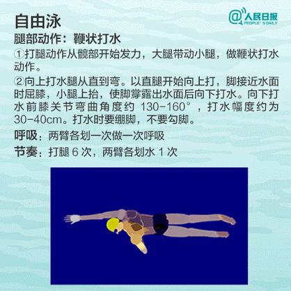 十分钟教你学会游泳
