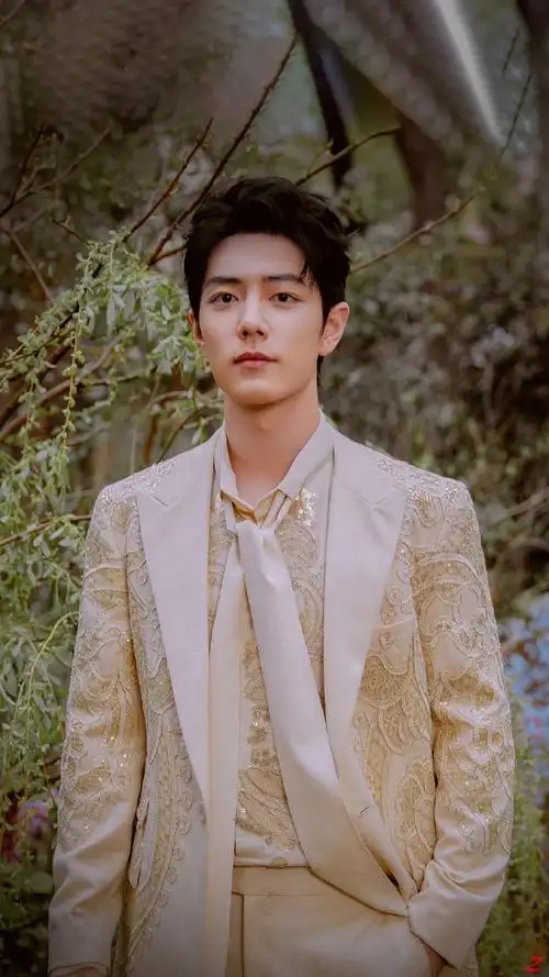 与肖战共赴微博之夜##日常见肖战#原图 壁纸@x玖少年团肖战dayooy