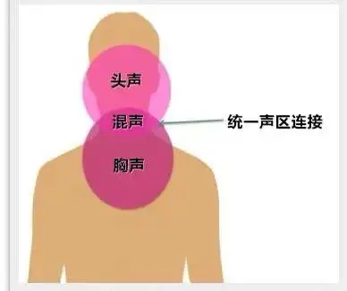 唱歌声区连接最强解释