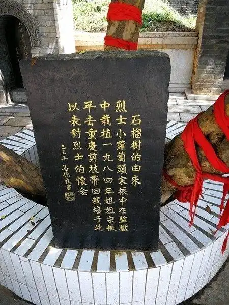 重庆解放后,小萝卜头宋振中被追认为革命烈士,他是共和国,乃至世界上