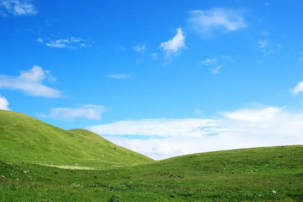 高寒草甸,清除背景与绿色的群山和美丽的天空