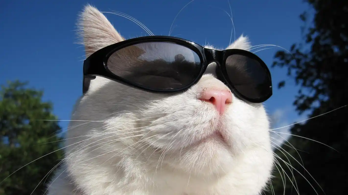 墨镜适合什么时候带 一般什么情况戴墨镜