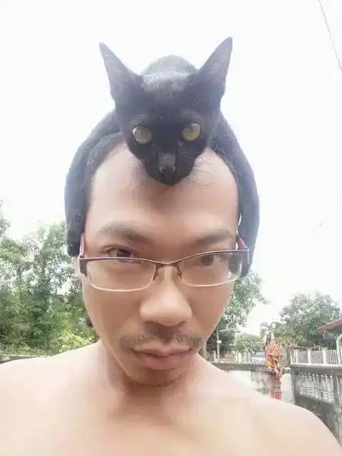 男主发了张自拍照,第一眼看还以为戴了特殊的帽子,近看后笑屎.