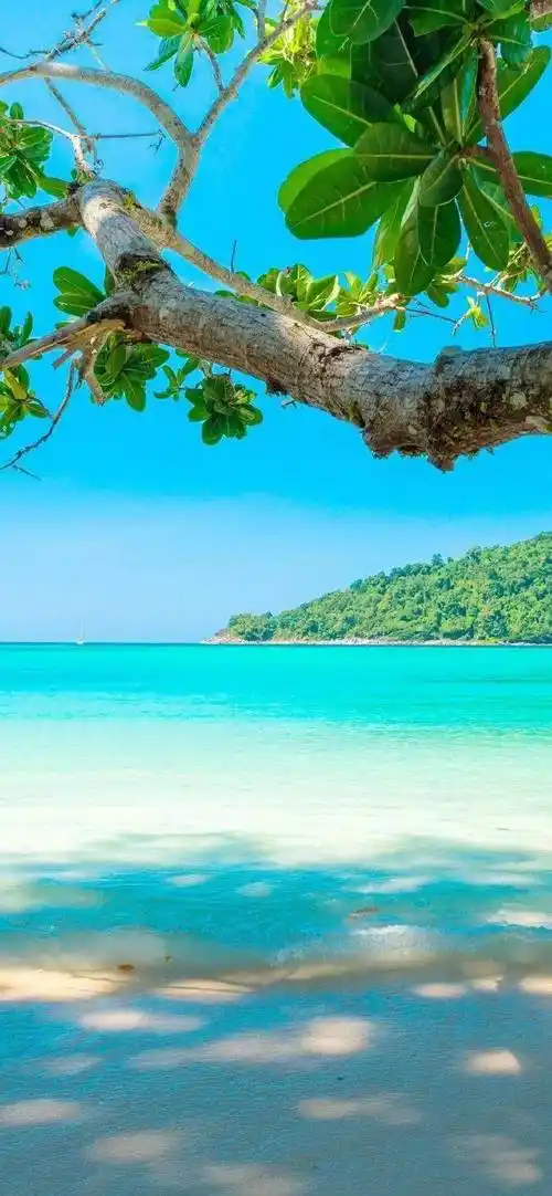 壁纸| 363436373039 ins高级感壁纸