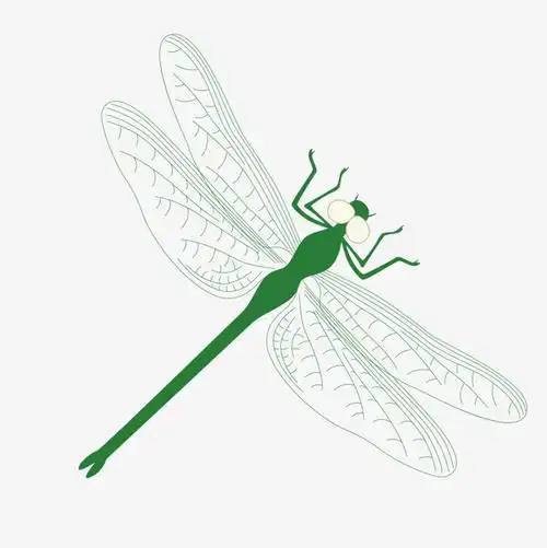 矢量手绘蜻蜓