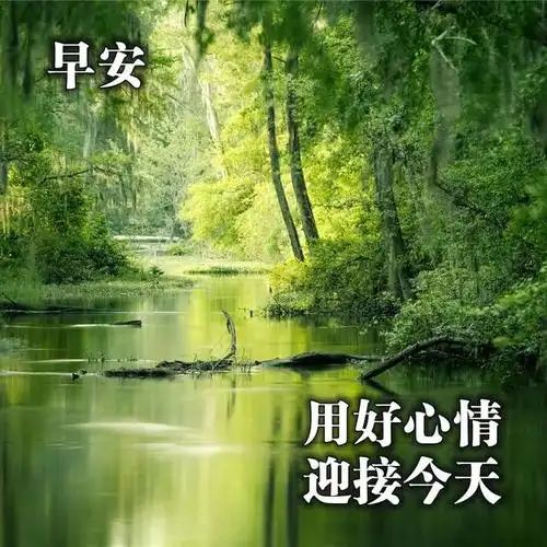 瞬间被治愈的早安暖心句子