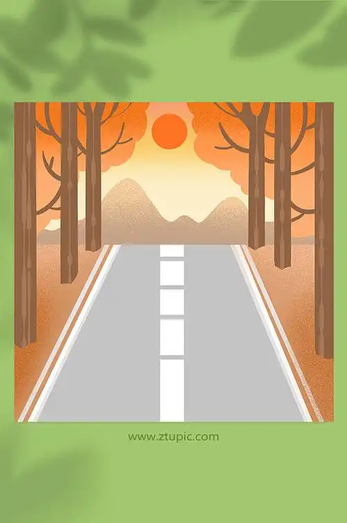 秋季夕阳马路枫树林落日背景