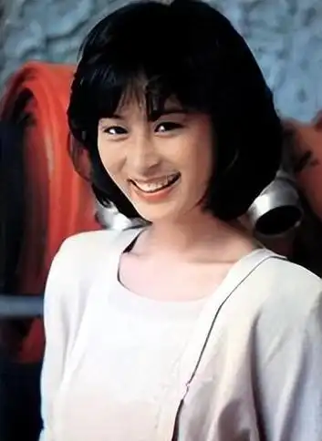 黎美娴:背负插足梁朝伟骂名,被指抢蓝洁瑛的角色,现在过得如何