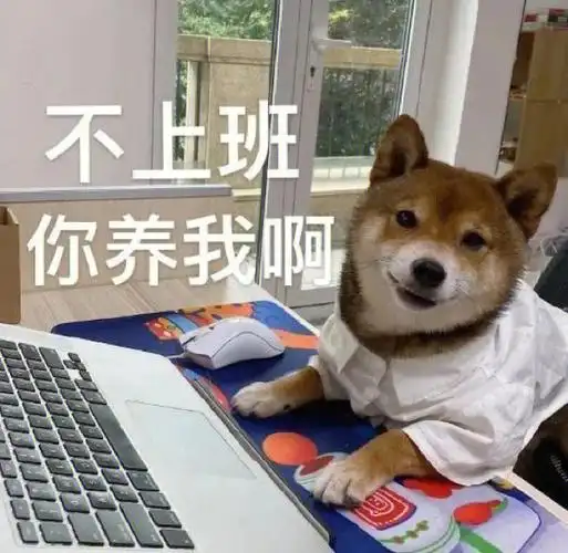 全网最火搞笑沙雕表情包